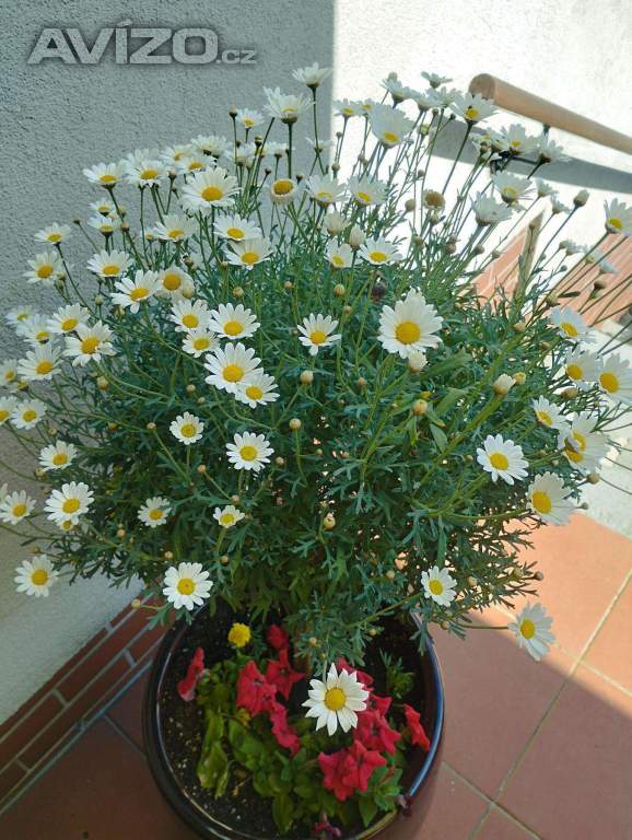 Keramická nádoba na květiny - zahrada/terasa