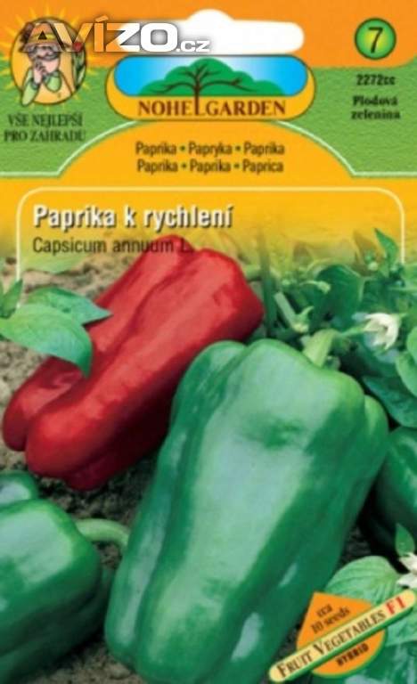 Paprika zeleninová k rychlení F1, zelená (semena)