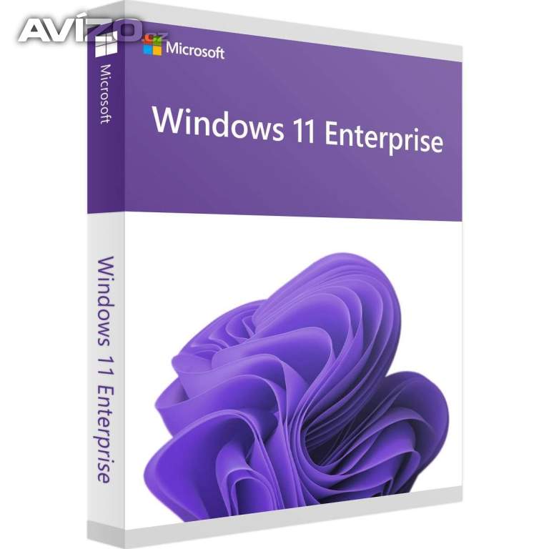 Windows 11 Enterprise