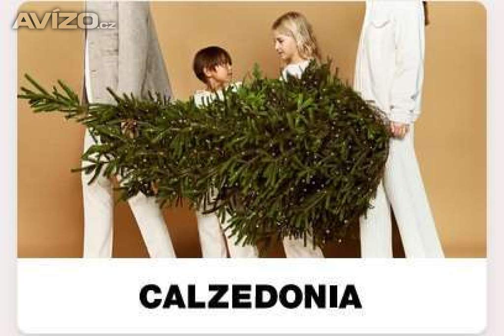 dárkový poukaz Calzedonia