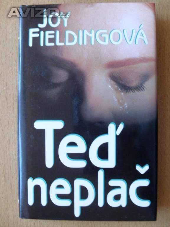 Joy Fielding Teď neplač