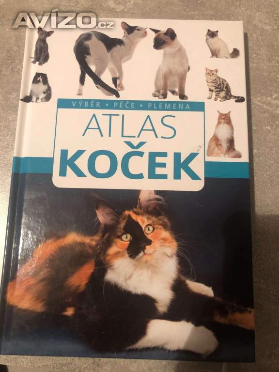 Kniha Atlas koček