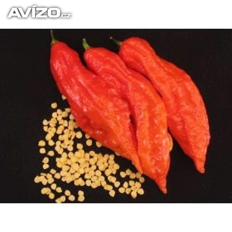 Chilli Jolokia Bhut Red - semena