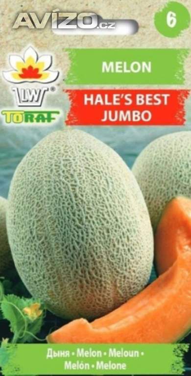 Meloun Hales Best Jumbo (semena) 