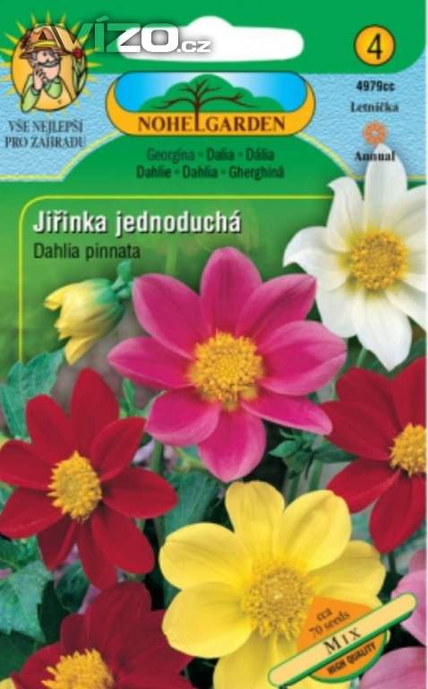 Jiřinka jednoduchá, mix (semena)