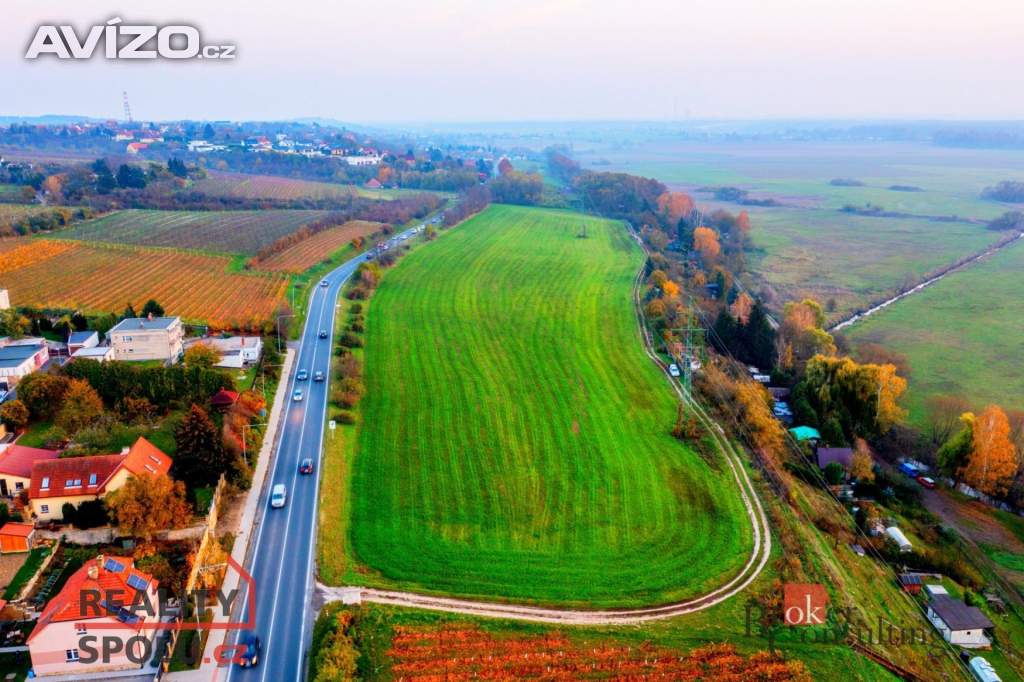 Prodej zemědělská půda, 4 499 m2 - Mělník