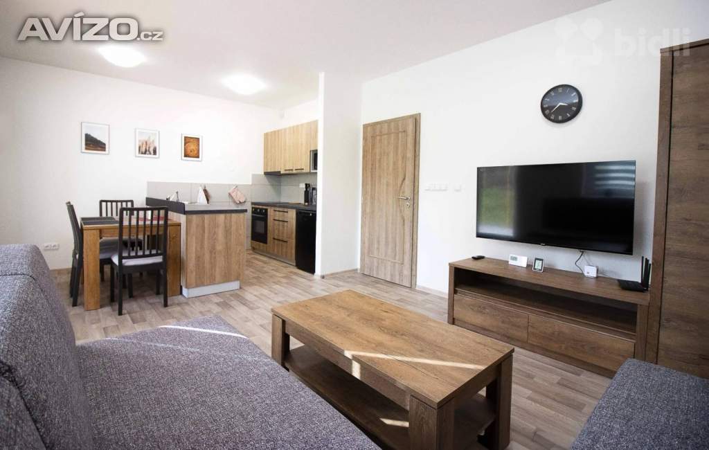 Prodej apartmánu 2+kk, 45 m2 - Červená Voda, Mlýnický Dvůr