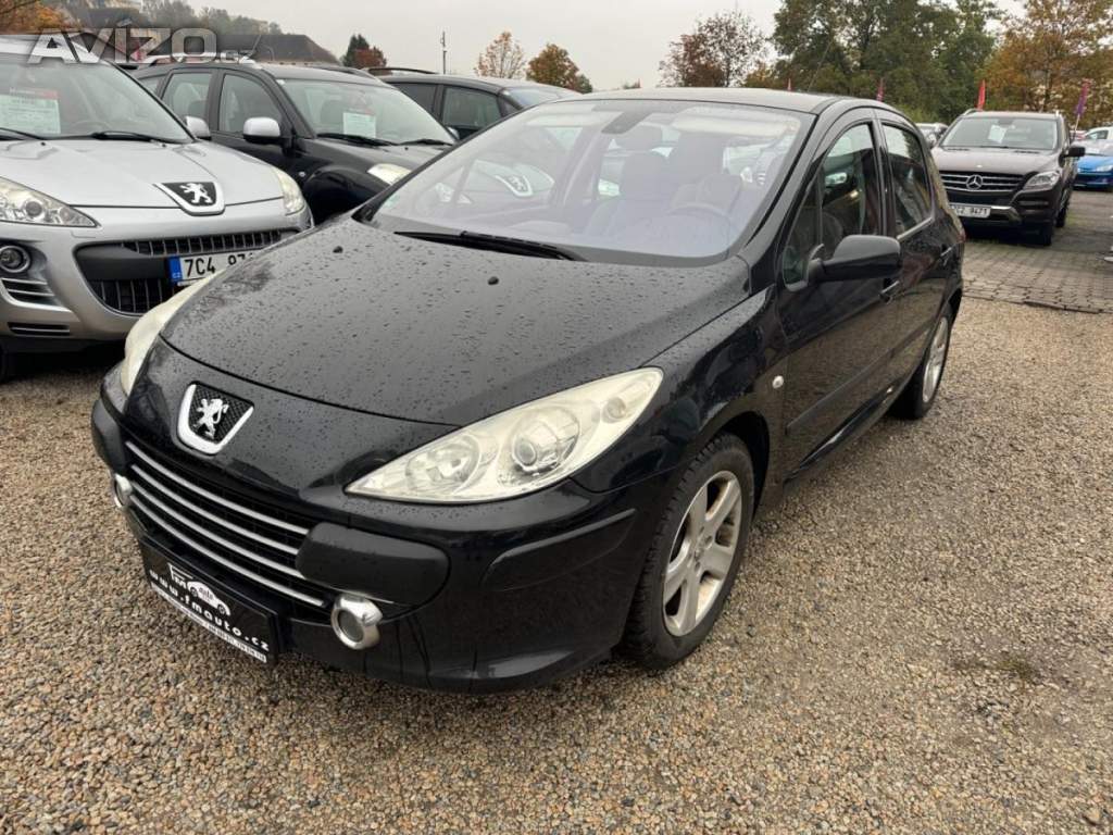 Peugeot 307 1.6 16V