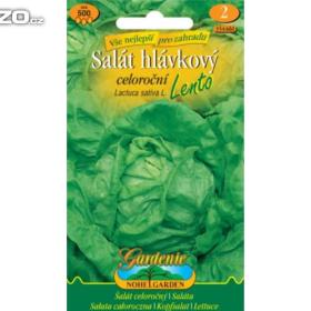 Salát hlávkový, celoroční -  Lento (semena) www. levna- semena. cz / 14291095