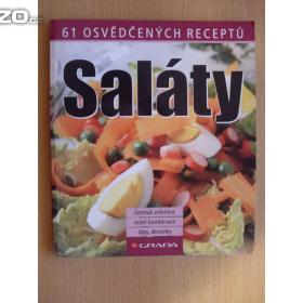 Fotka k inzerátu Saláty 61 osvědčených receptů / 16018571