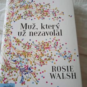 Obrázek k inzerátu: Prodám knihu Muž, který už nezavolal za 300,-  Kč.