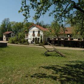 Asistentka, hospodyně a práce u koní + Ošetřovatel, zemědělský dělník, jezdec, stájník / 19155206