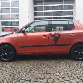 Fotka k inzerátu Fabia 1.2 HTP LPG / 19183568