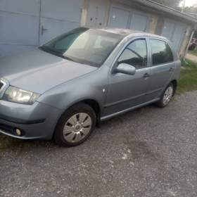 Fotka k inzerátu Škoda Fabia / 19185303