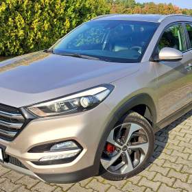 Fotka k inzerátu Hyundai Tucson, Navigace, kůže, kamera, Alu 19, po servisu / 19212665