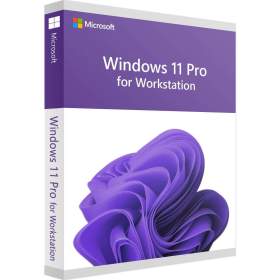 Windows 11 Pro pro pracovní stanice / 19273747