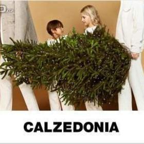 dárkový poukaz Calzedonia / 19288758