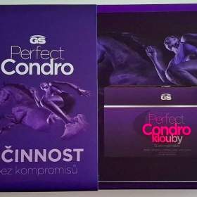 GS Perfect Condro 180 tablet na klouby  / 19334017