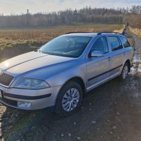 Škoda Octavia 1.9 TDI 77kW 4x4, STK 1/2026 / 19344202