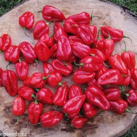 Chilli Habanero Red -  semena / 19367025