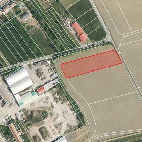 Prodej pole / 19402803