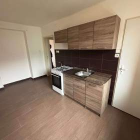 Nájemní 2+1 63m2 nájem 7.500,-  ul. Klicperova / 19409893