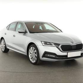 Fotka k inzerátu Škoda Octavia 2.0 TDI / 19016476