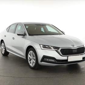 Fotka k inzerátu Škoda Octavia 2.0 TDI / 19203036