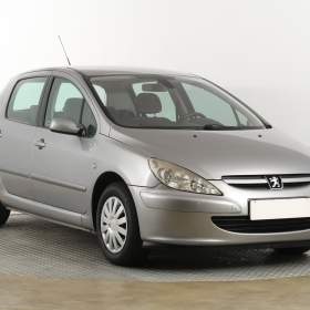 Peugeot 307 1.6 16V / 19311990