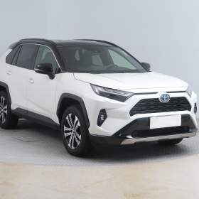 Toyota Rav4 2.5 Hybrid / 19361073