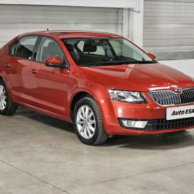 Fotka k inzerátu Škoda Octavia 1.6 TDi 4x4, 1. maj,ČR / 17974695