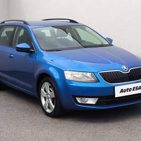 Fotka k inzerátu Škoda Octavia 2.0 TDi 4x4, 1. maj, Style / 19041696