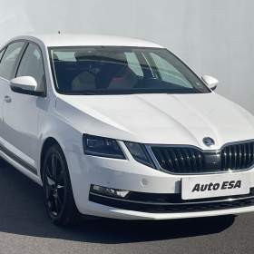 Fotka k inzerátu Škoda Octavia 1.8 TSi, ČR, Style, AC, park / 19098751