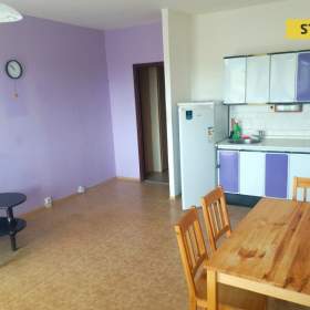 Fotka k inzerátu Pronájem, byt 1+kk, 30 m2 / 19087087