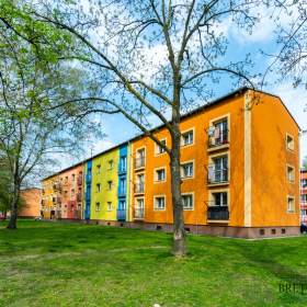 Pronájem bytu 2+1 s balkónem, 50 m2, ul. Jubilejní, Ostrava -  Hrabůvka / 19352491