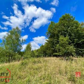 Fotka k inzerátu Prodej pozemky pro bydlení, 1 000 m2 -  Janov nad Nisou -  Hraničná / 19162681