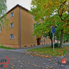 Pronájem byty 2+1, 57 m2 -  Ostrov / 19287884