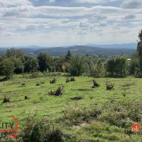 Fotka k inzerátu Prodej pozemky pro bydlení, 4 351 m2 -  Svojkov / 19311425