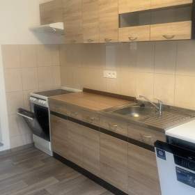 Pronájem byty 1+kk, 38 m2 -  Planá / 19337730