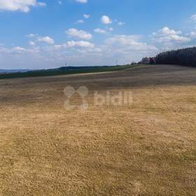 Fotka k inzerátu Prodej podílu pozemku 6650 m2, Mníšek pod Brdy / 17556492