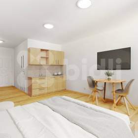Apartmán se správou, 1+kk, 38,5 m2, Rejštejn na Šumavě / 18993885