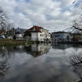 Fotka k inzerátu Pronájem pokoje / 19287967