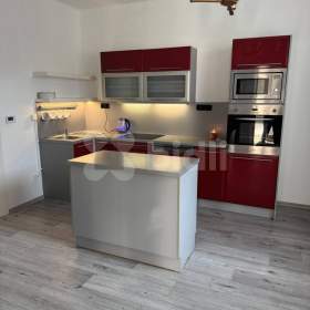 Pronájem bytu 1+1, 50m2, 1x parkovací stání / 19411406