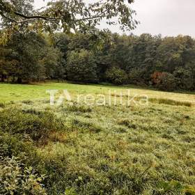 Fotka k inzerátu Prodej, Pozemky pro bydlení, 2357 m2 / 18994198