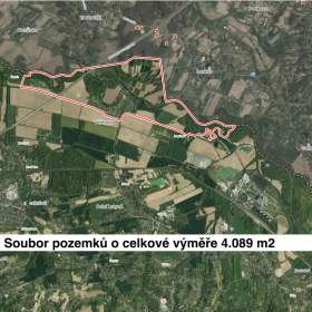 Prodej pole, 4089 m², Věřňovice / 19296291